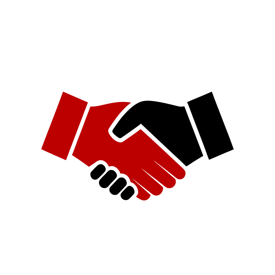 Literary Representation